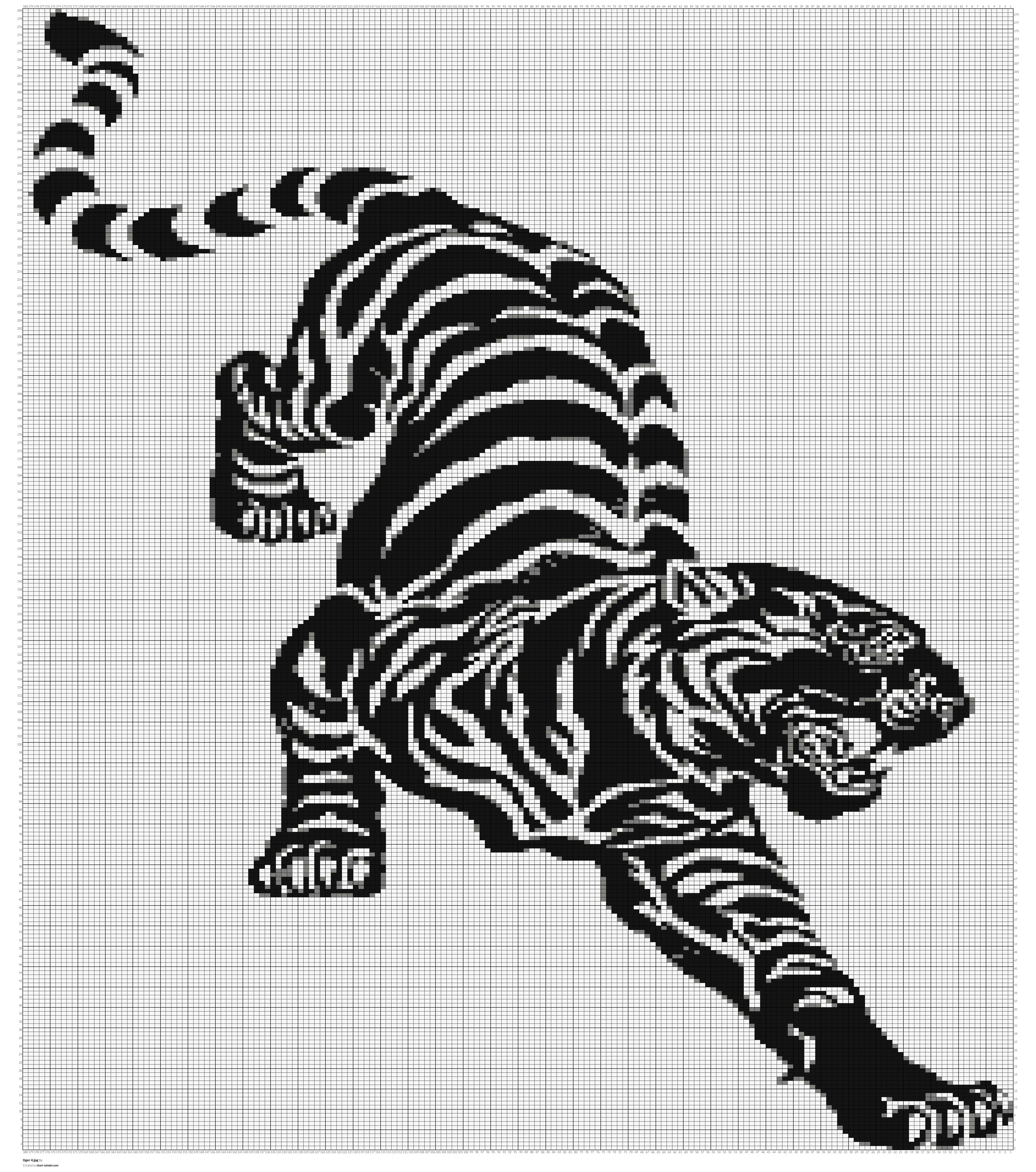 tiger 4.jpg