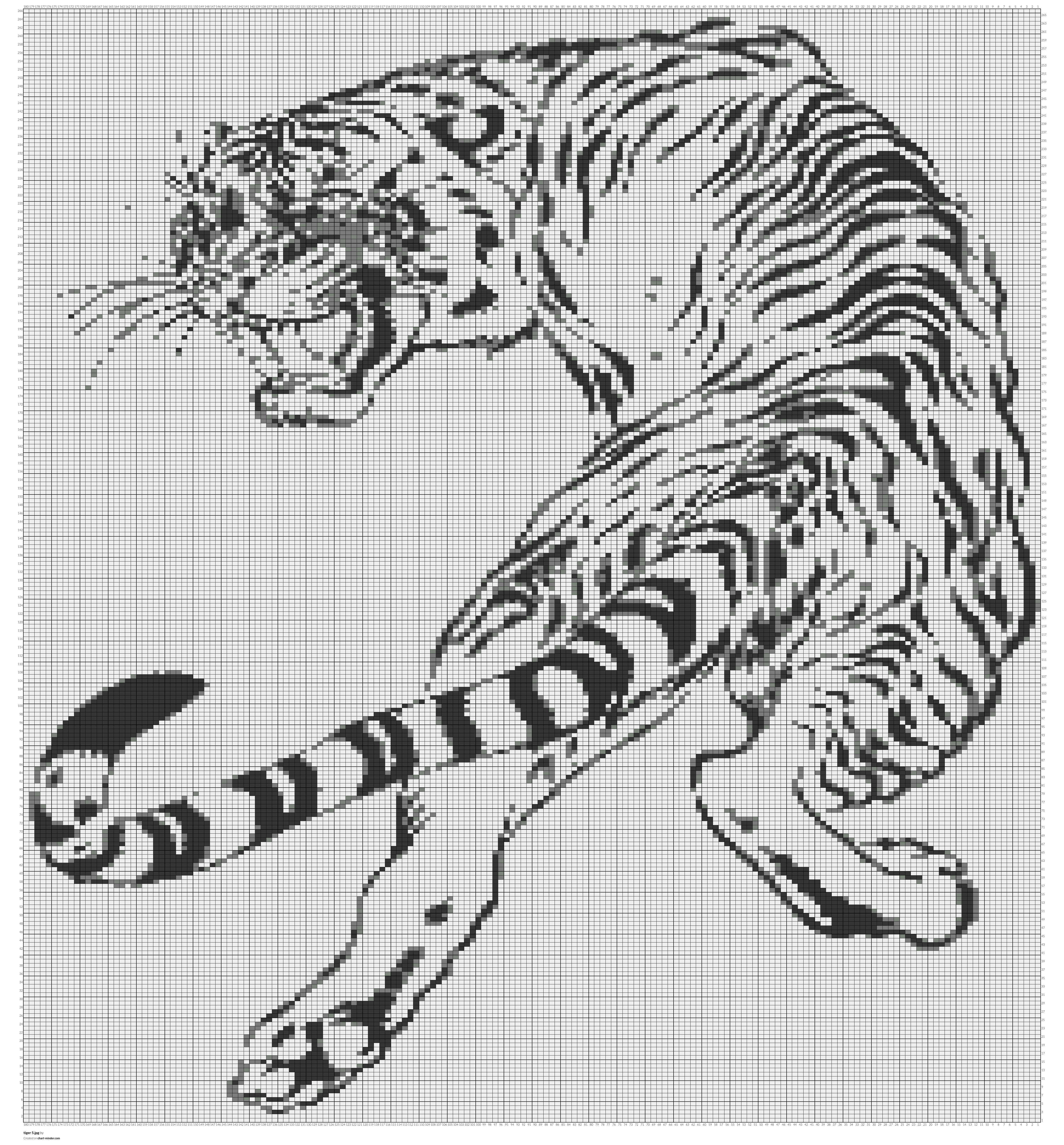 tiger 5.jpg