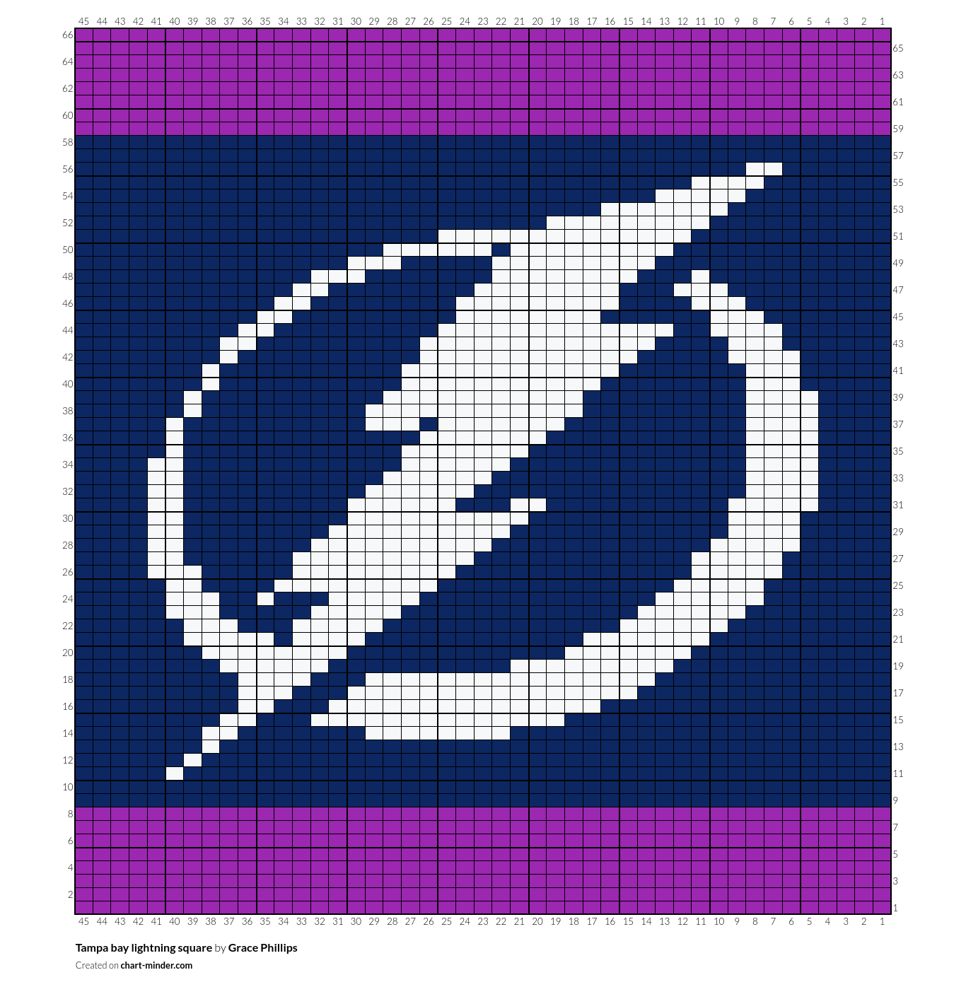 Tampa bay lightning square 