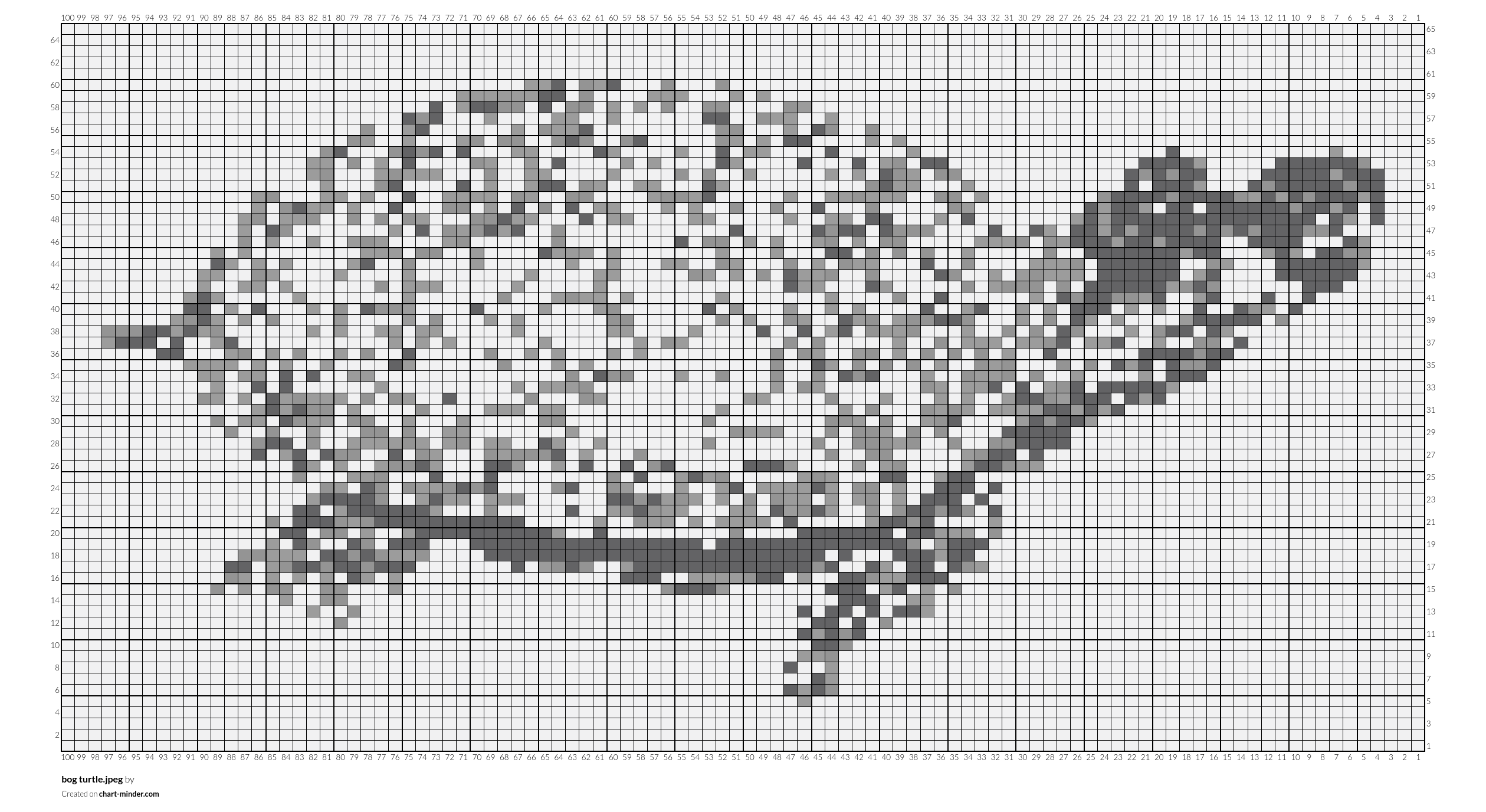 bog turtle.jpeg