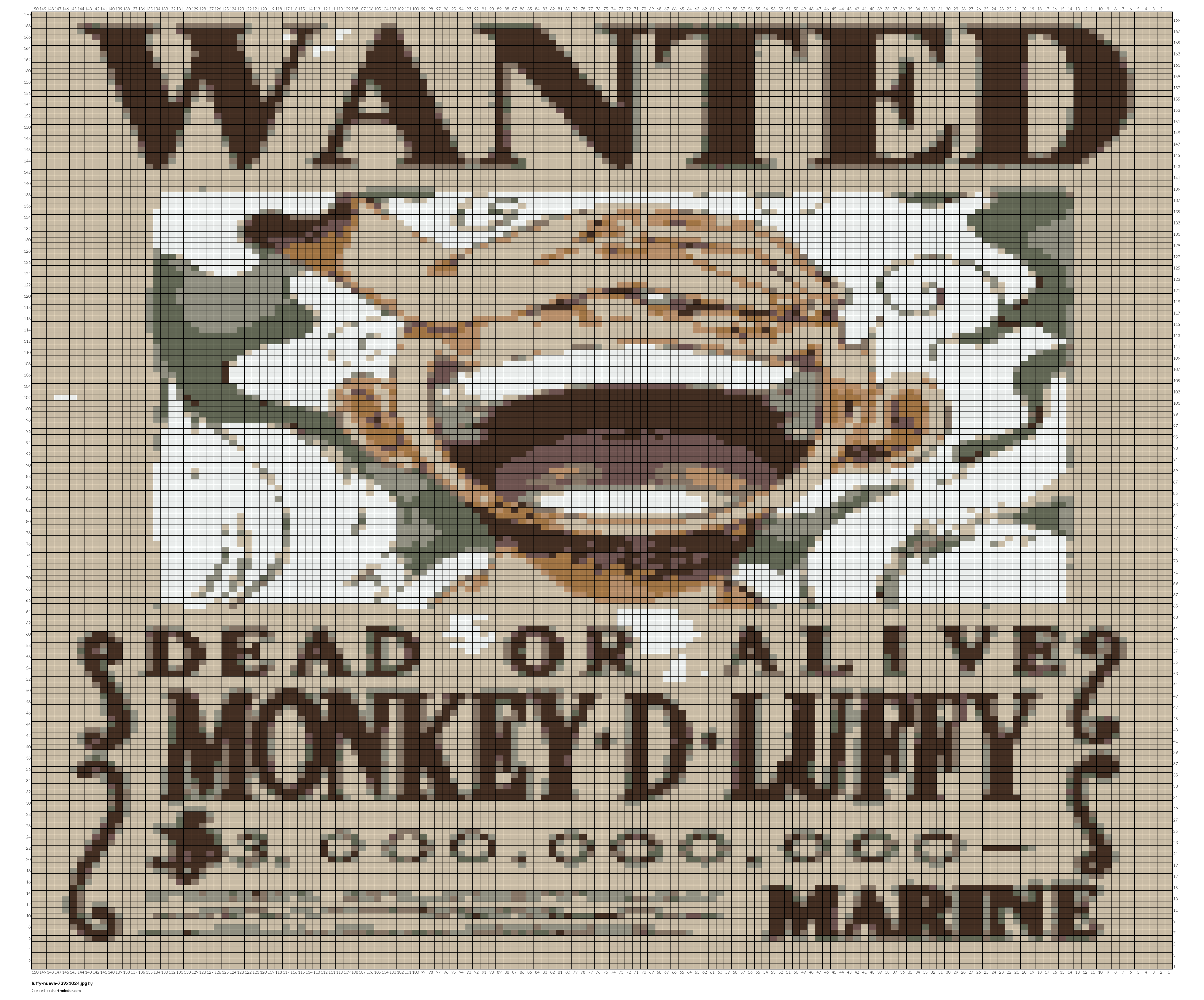 luffy-nueva-739x1024.jpg