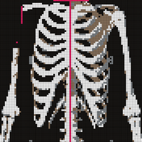 Capture.PNG