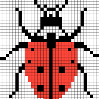 nine spot lady beetle final