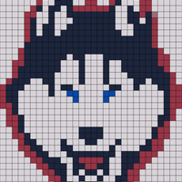 Copy of Uconn.jpg