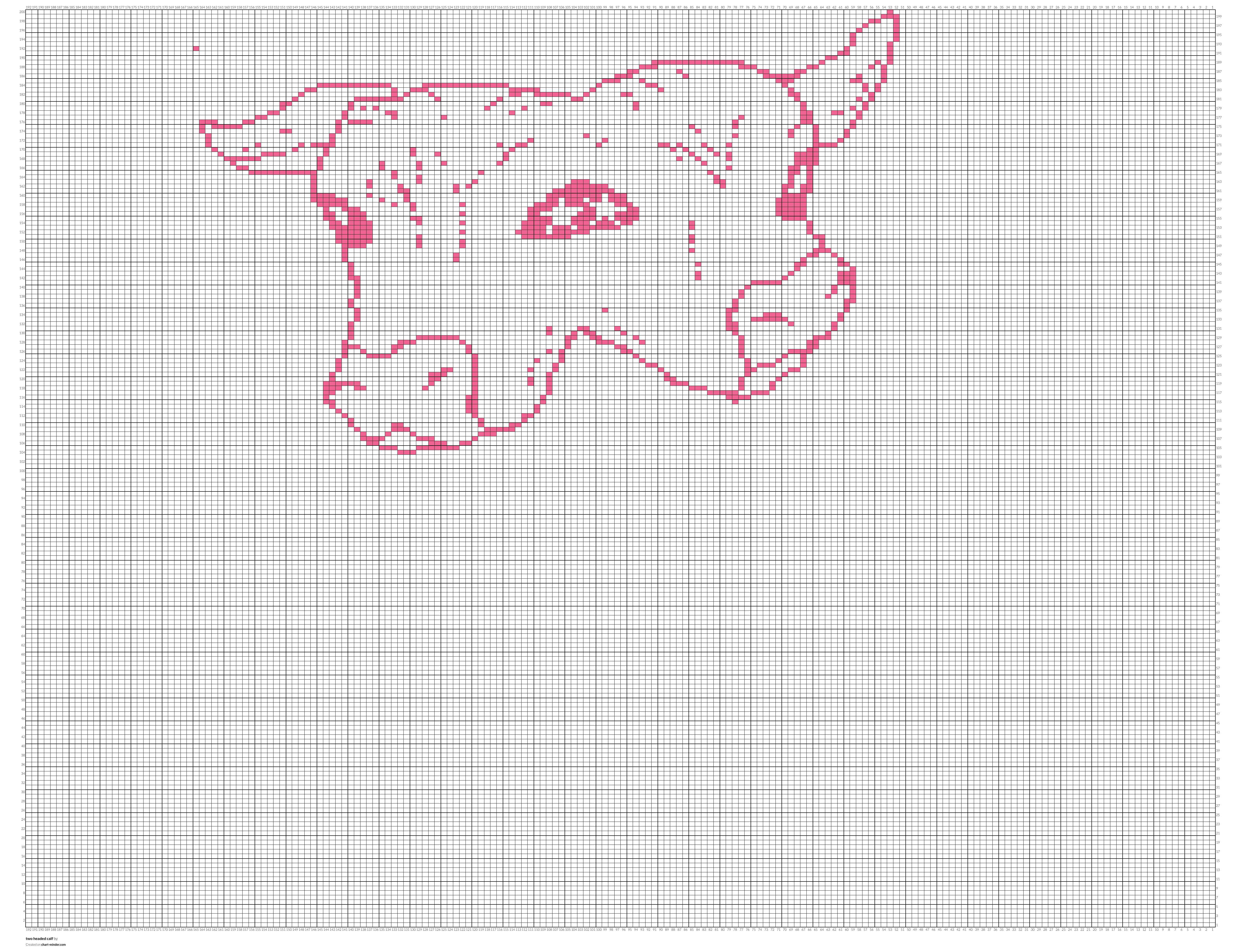 two headed calf