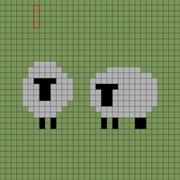 sheep