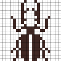 Beetle