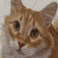 Copy of WhatsApp Image 2025-04-21 at 17.53.36_c0c15f9c.jpg