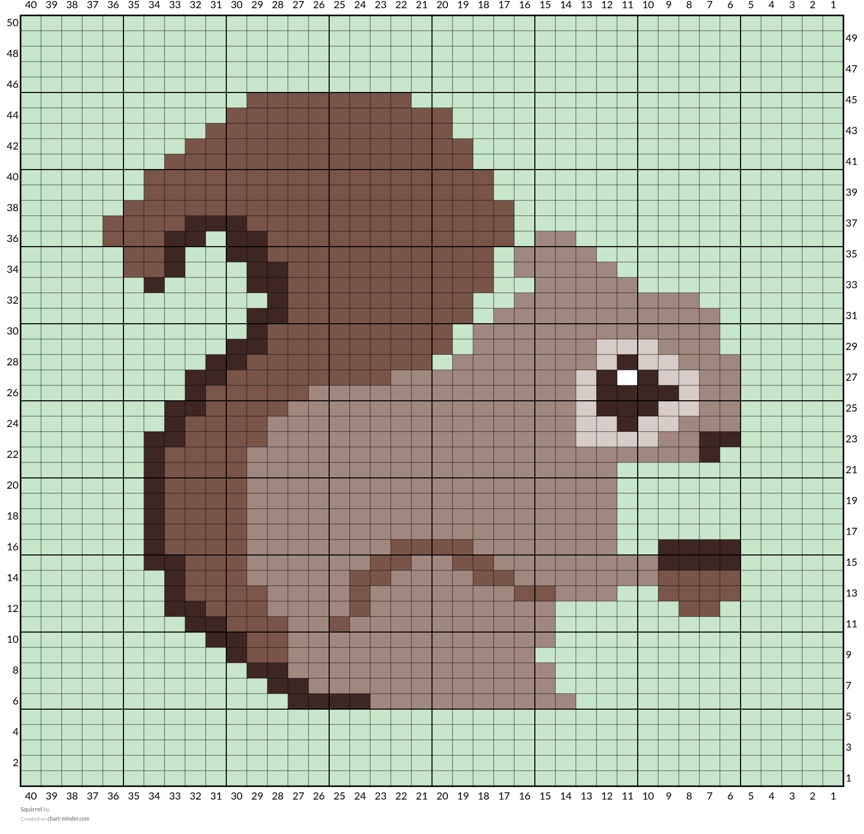 Squirrel