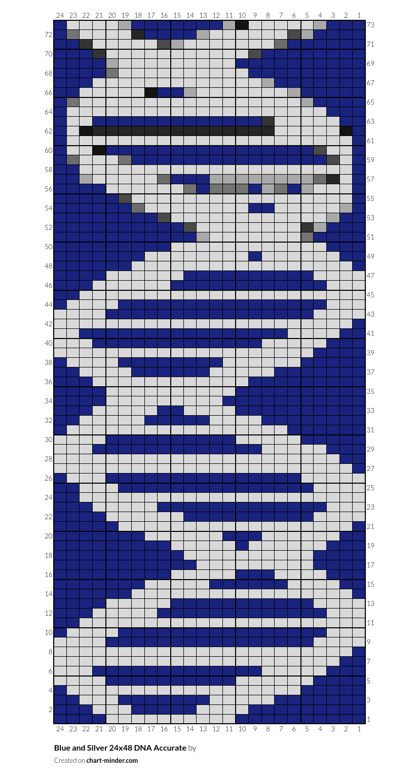 Blue and Silver 24x48 DNA Accurate 