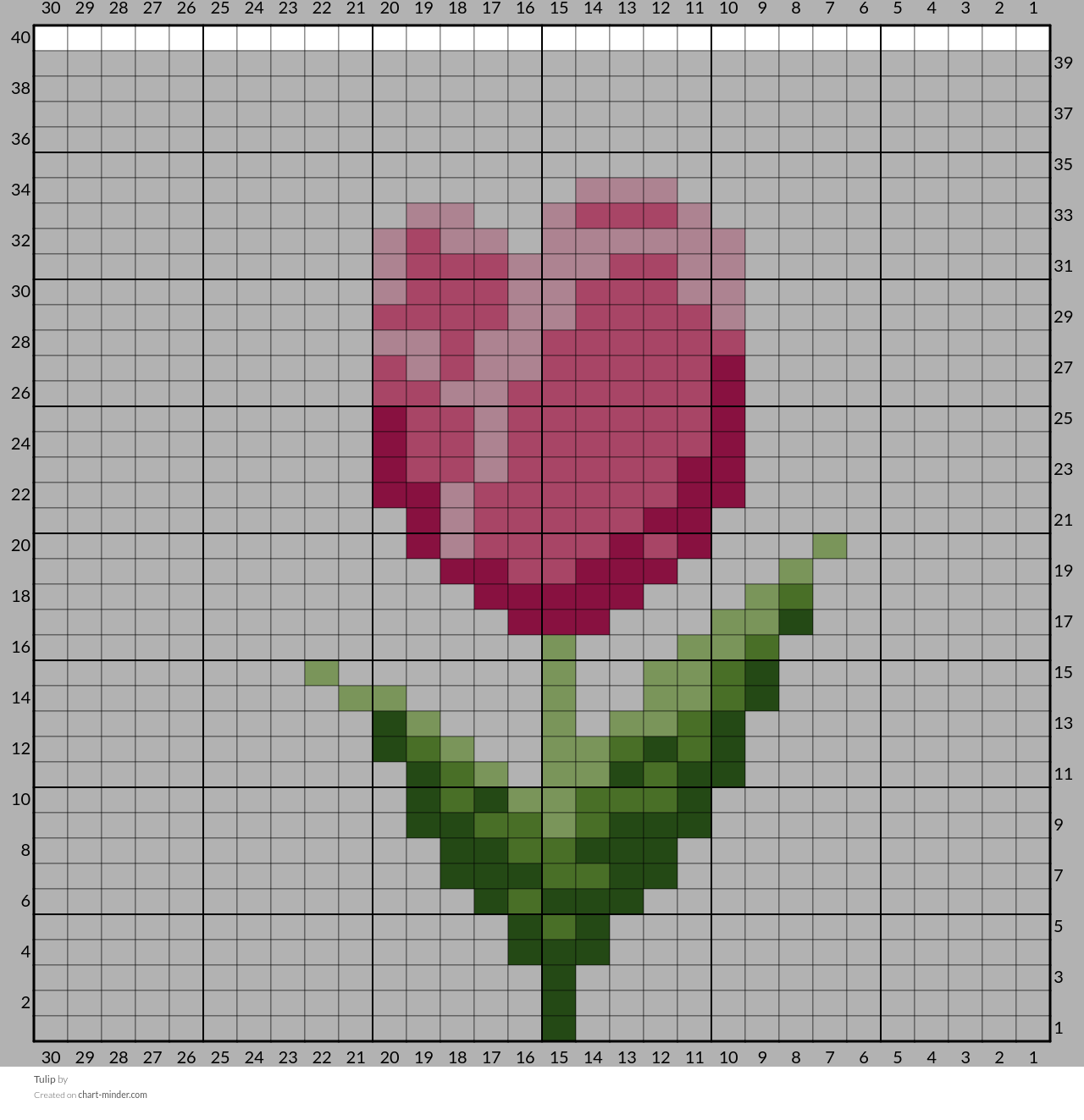 Tulip