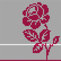 rose