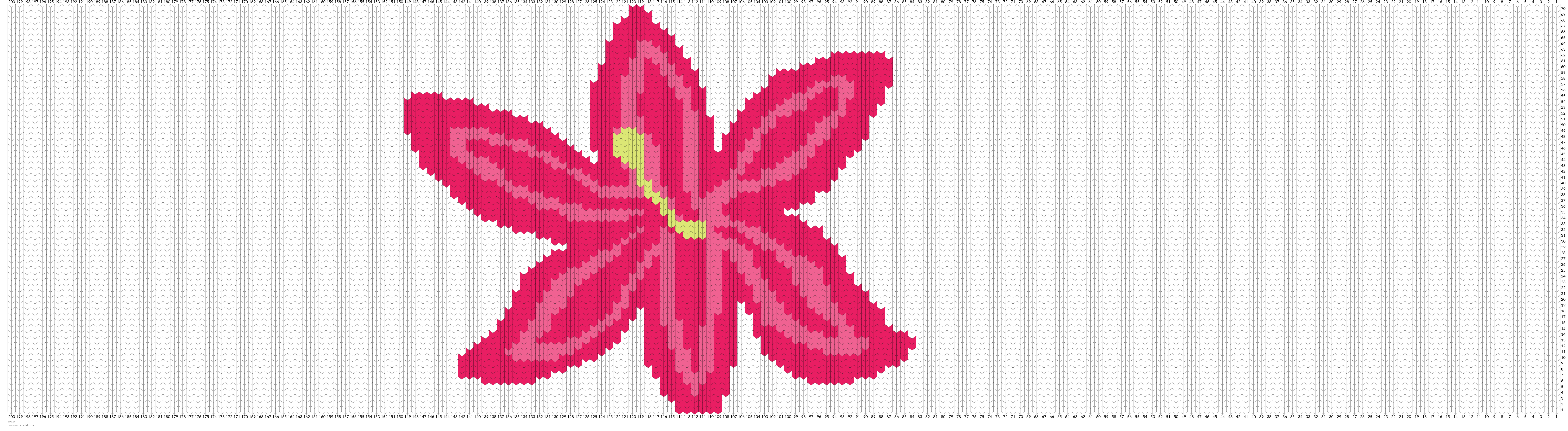 lily  1