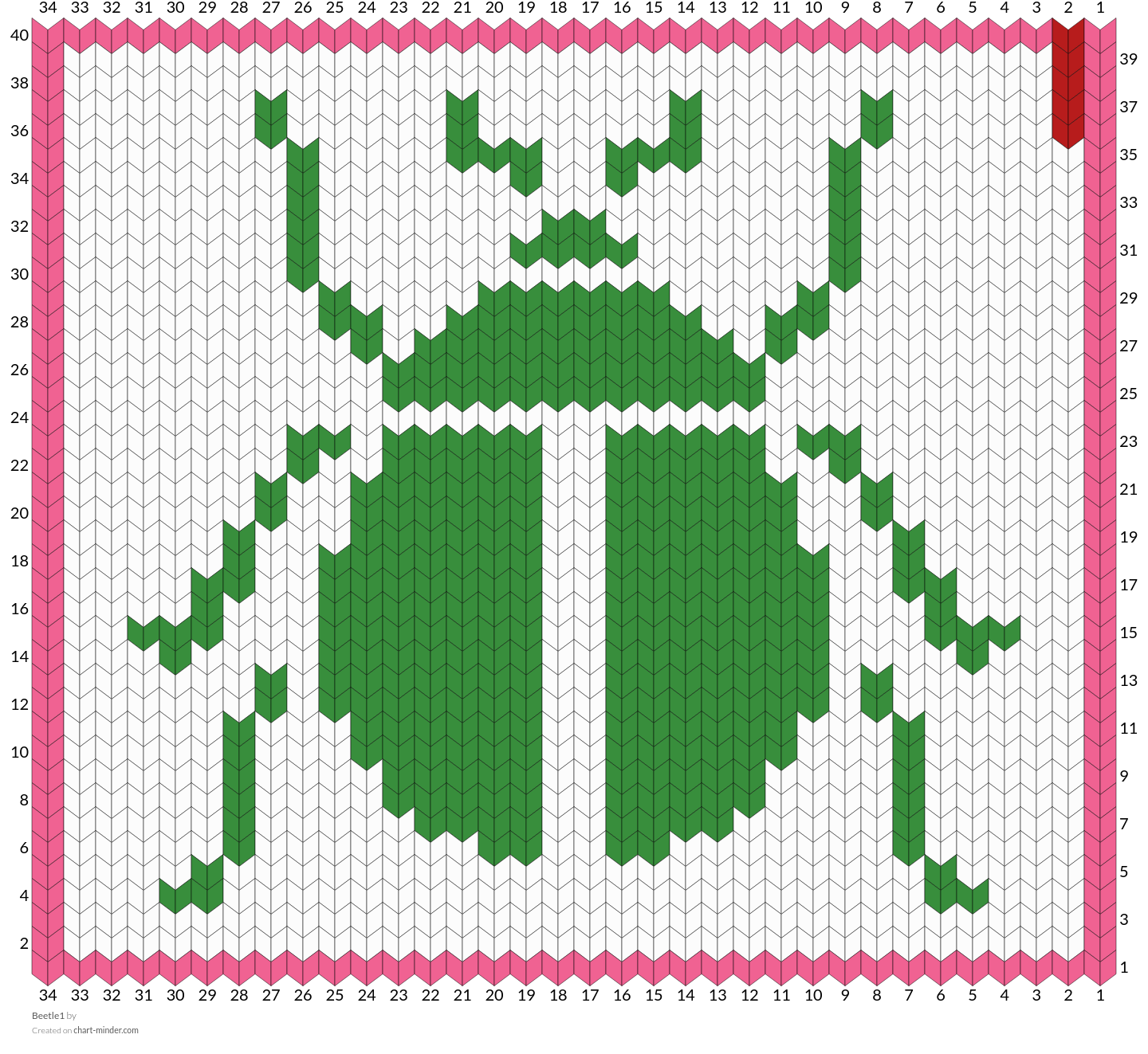 Beetle1