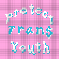 Protect Trans Youth.png
