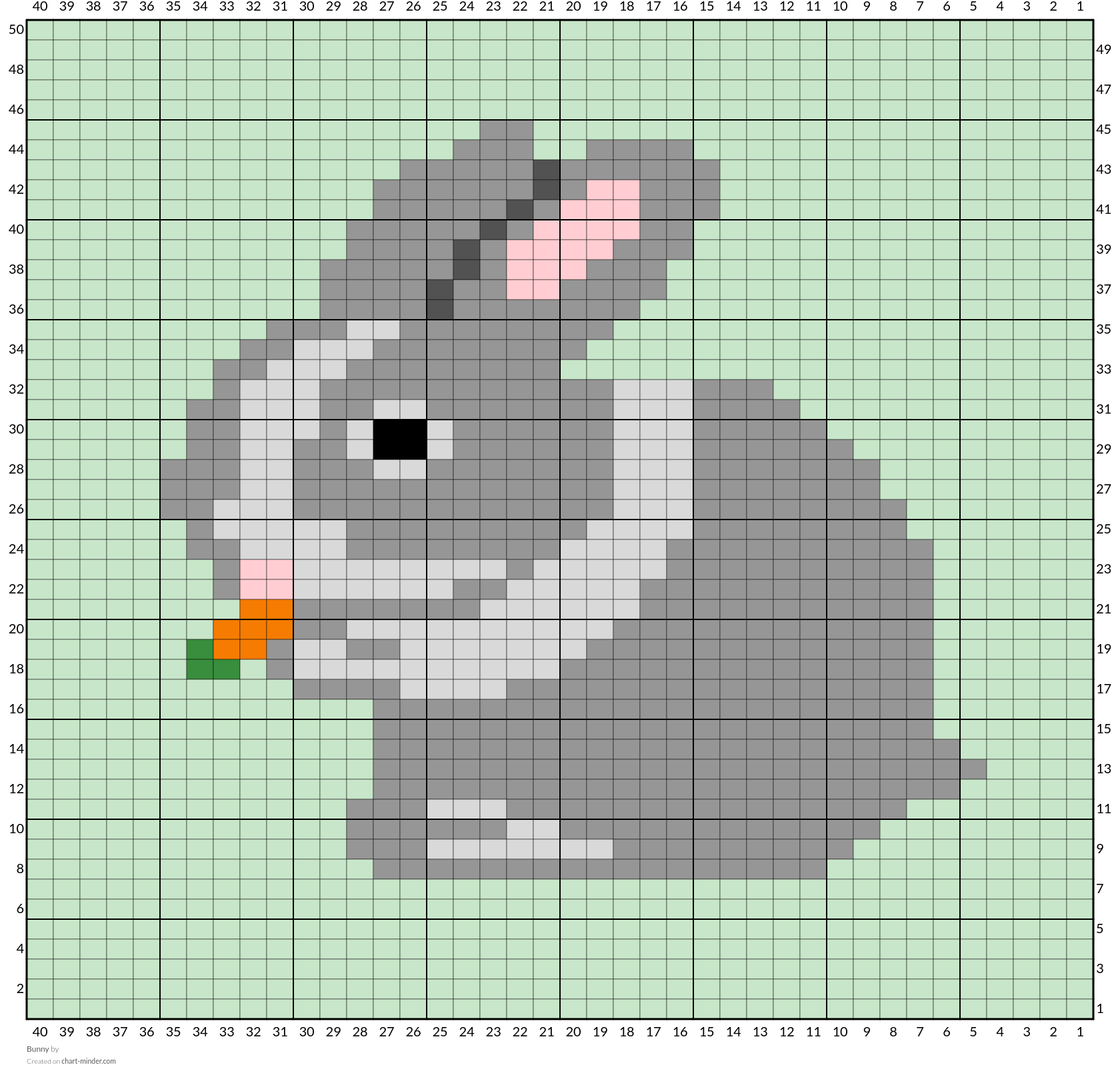 Bunny