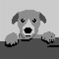 WhatsApp Image 2025-05-19 at 15.21.22.jpeg