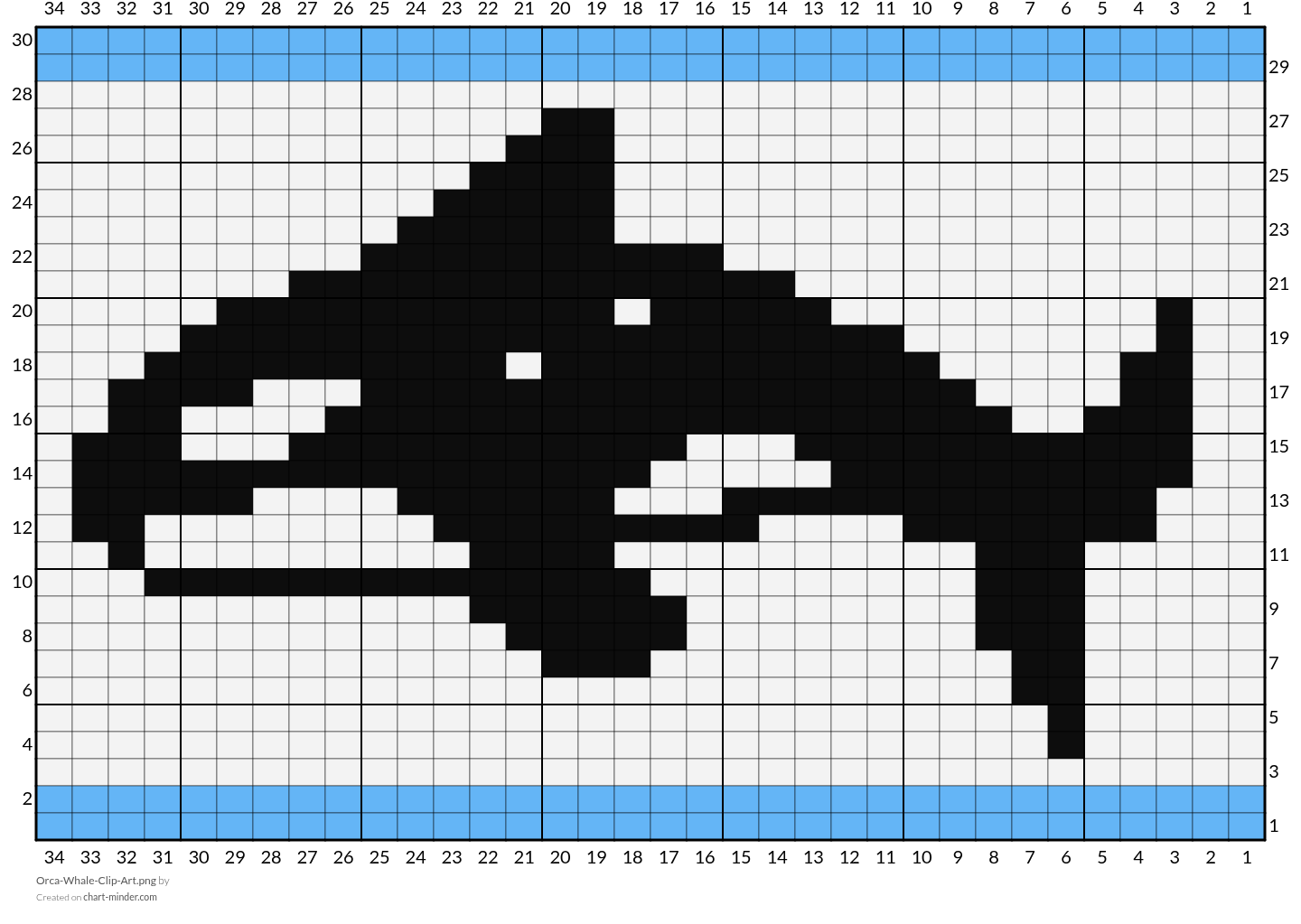 Orca-Whale-Clip-Art.png