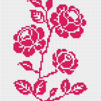 Copy of roses