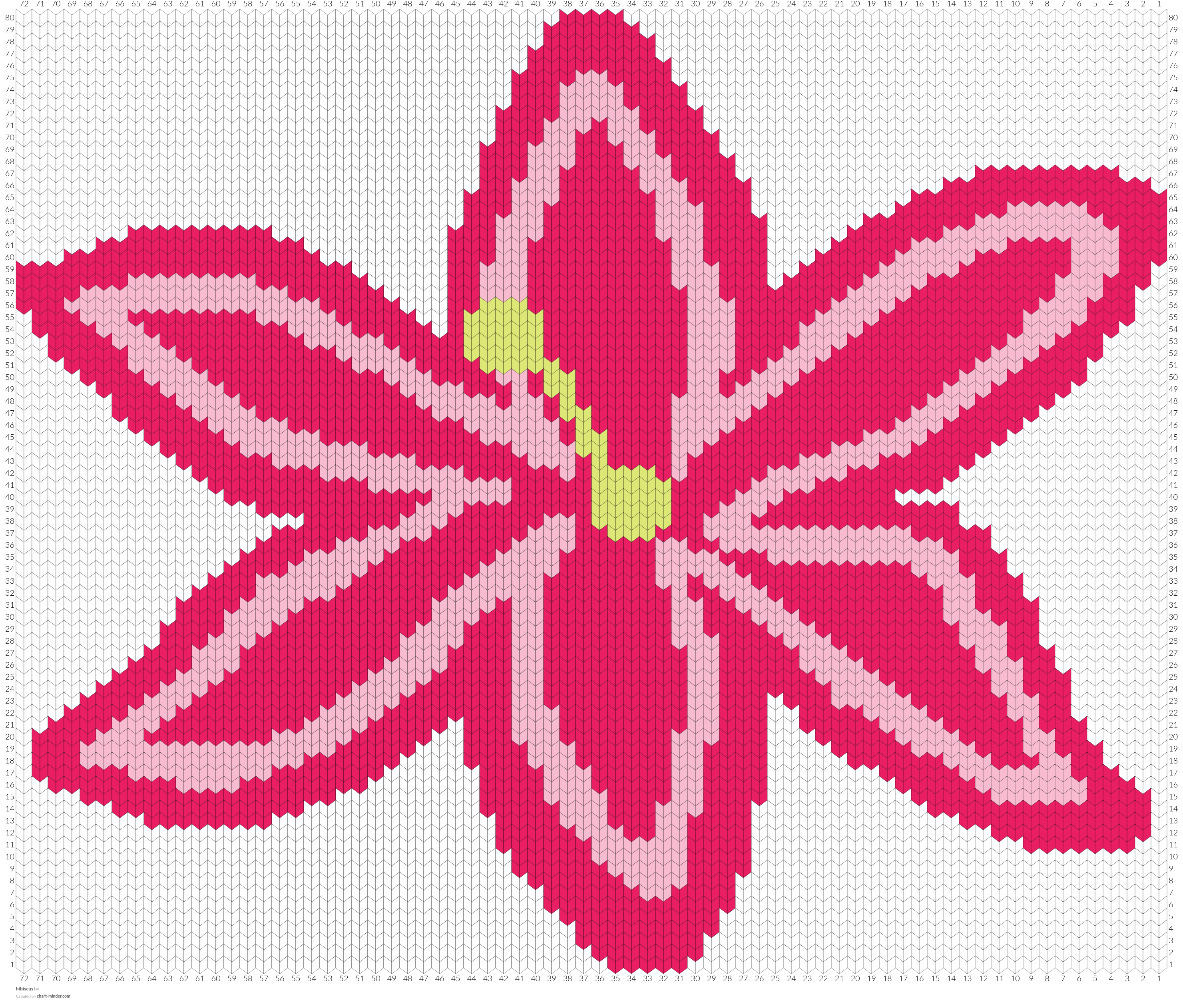 hibiscus 