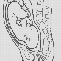 depositphotos_391199634-stock-illustration-contour-vector-outline-drawing-human.jpg