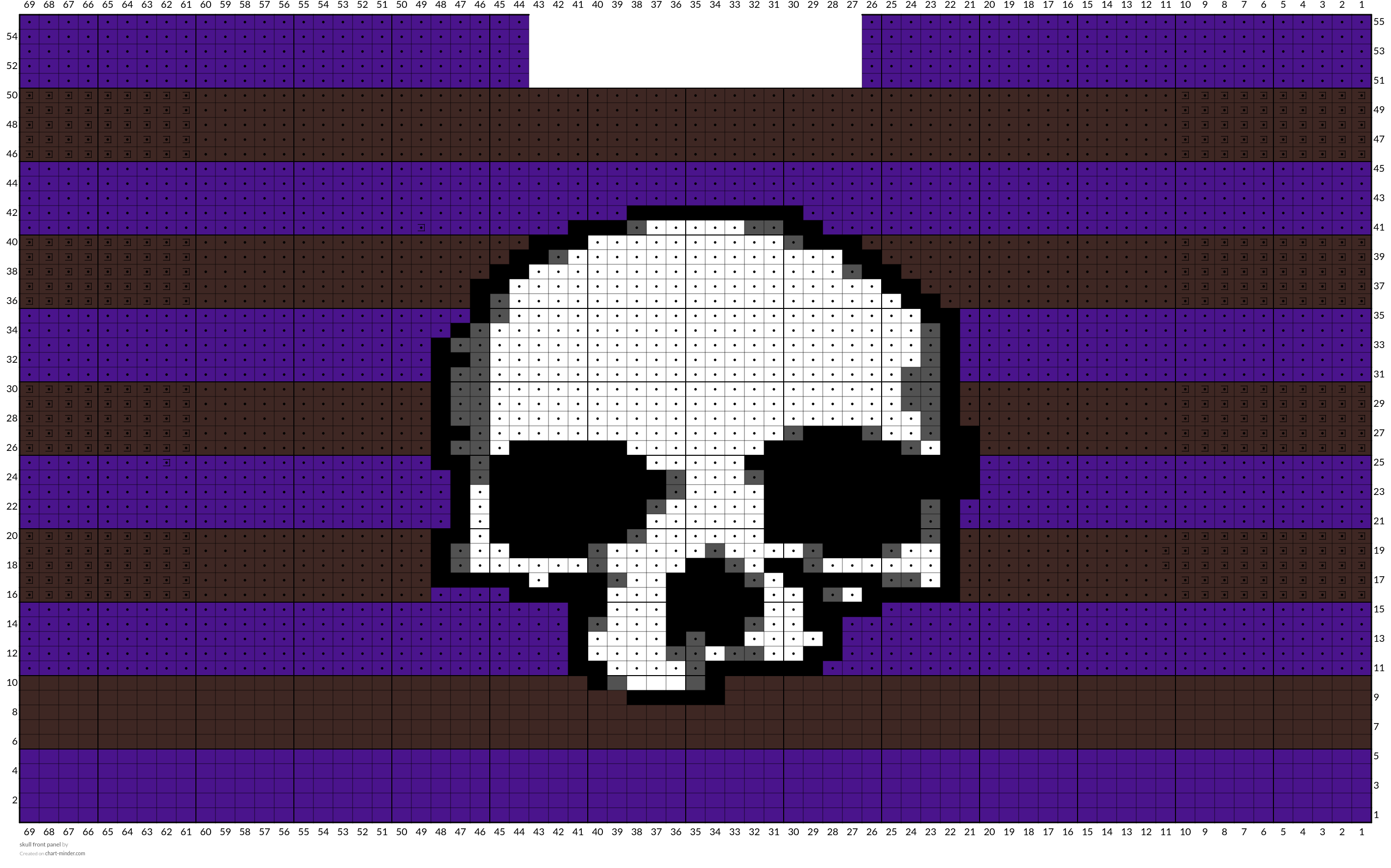 skull front panel