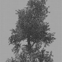 IMG_6320.jpeg