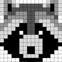 Racoon