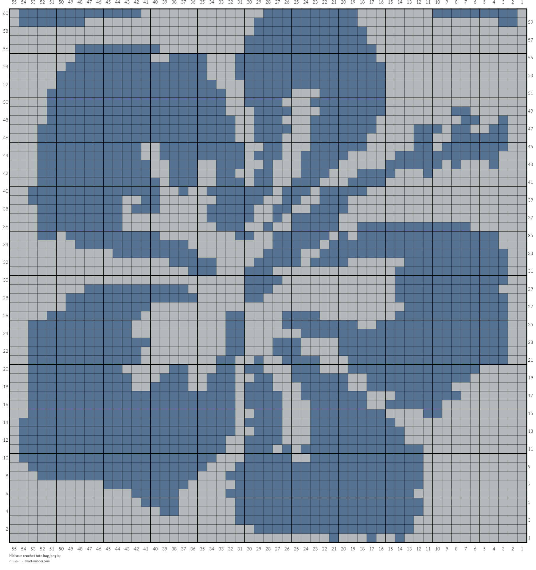 hibiscus crochet tote bag.jpeg