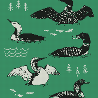 LOON BLANKET