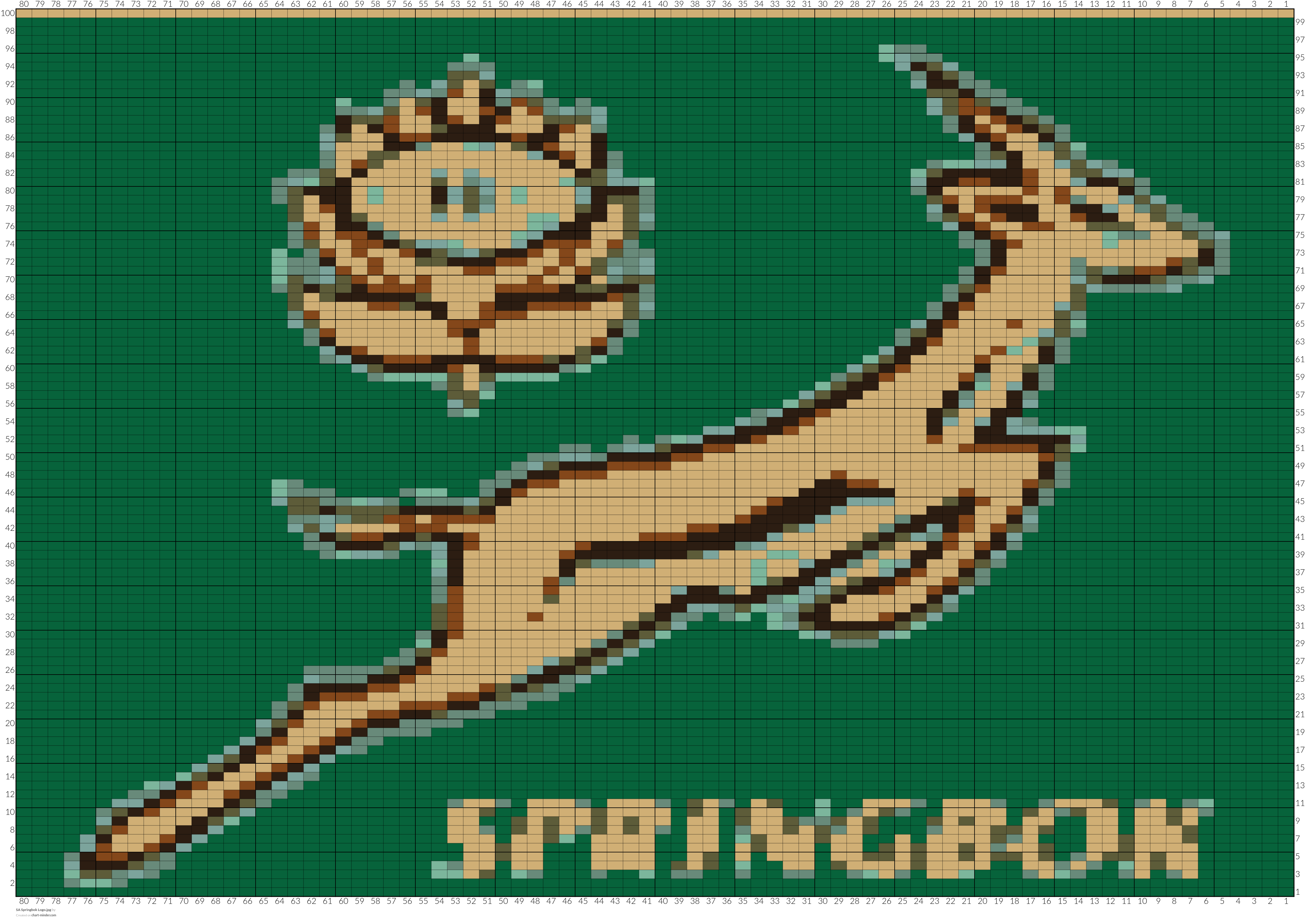SA Springbok Logo.jpg