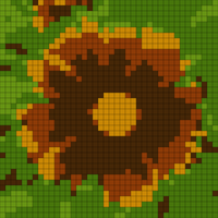 Coreopsis Test