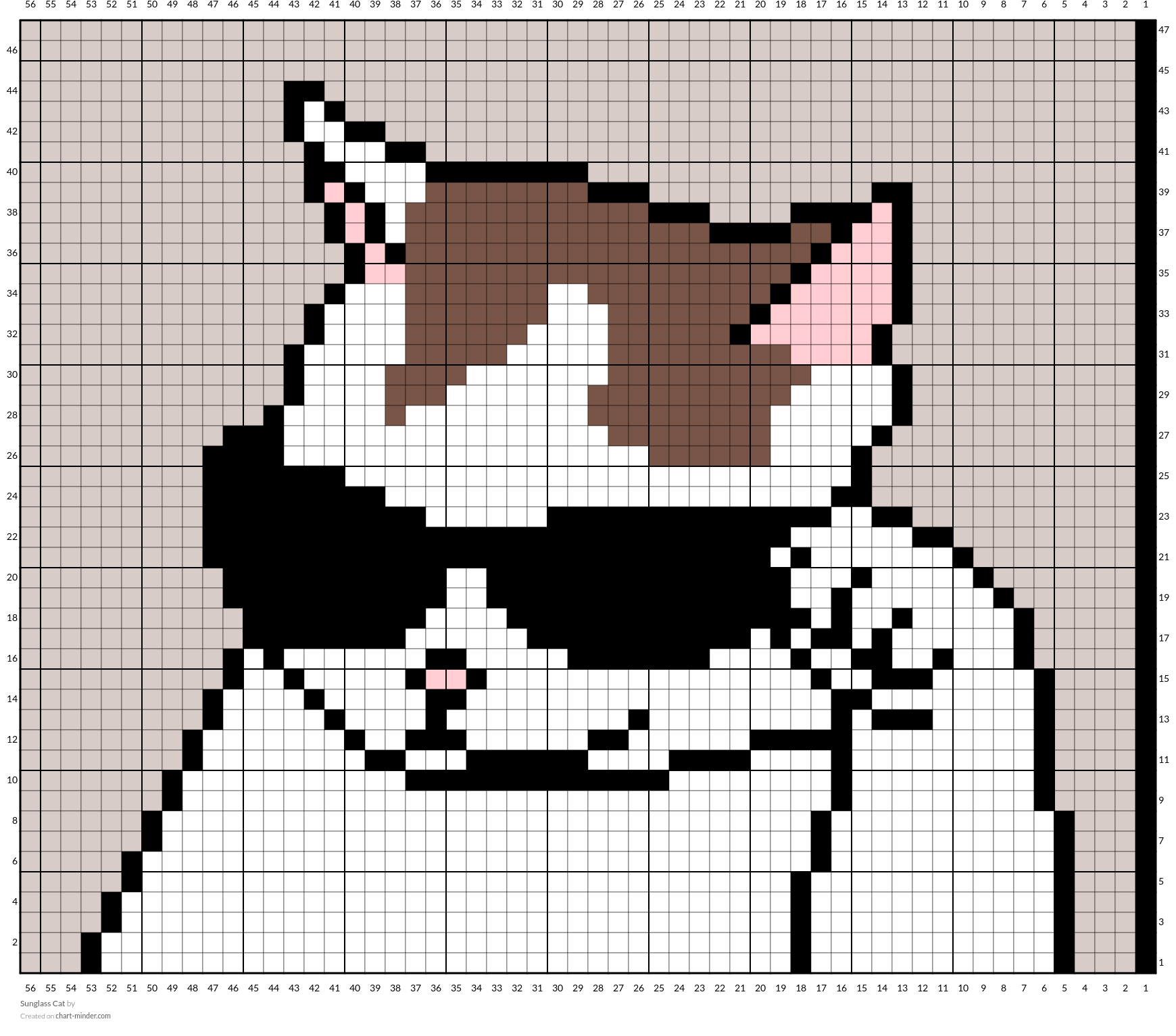 Sunglass Cat