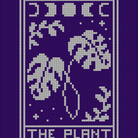 The plant.jpg