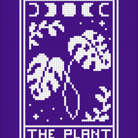 The plant.jpg
