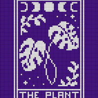 The plant.jpg