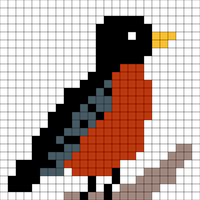 Robin
