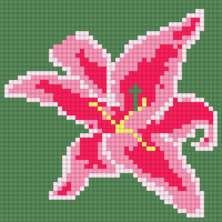 Lily