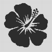 hibiscus flower.webp