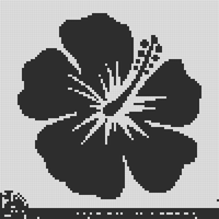 Copy of hibiscus flower.webp