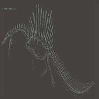 rushelle-kucala-spinosaurusaegyptiacusskeletonnolabels.jpg