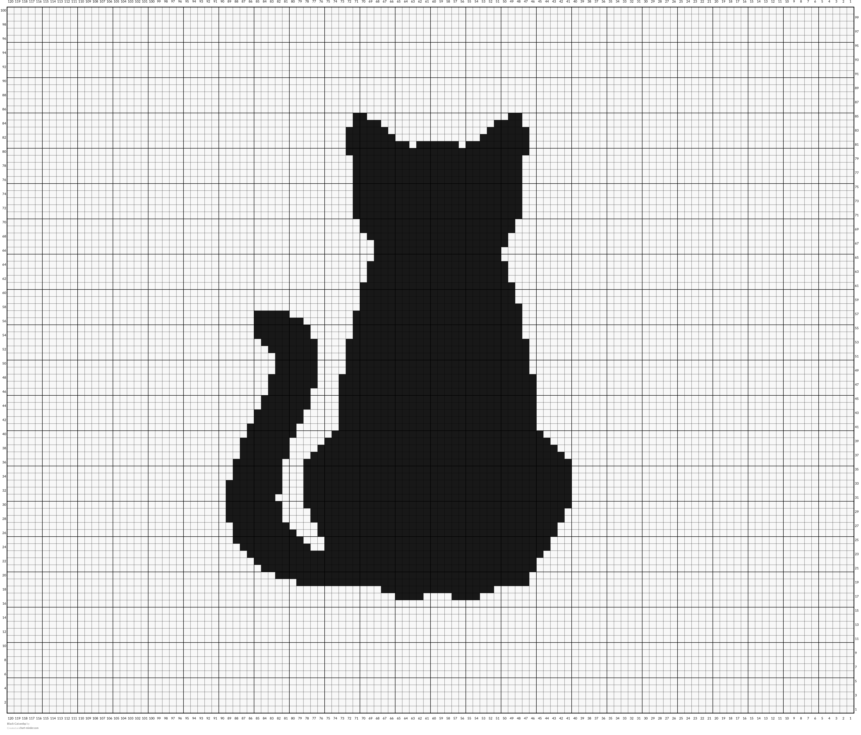 Black Cat.webp