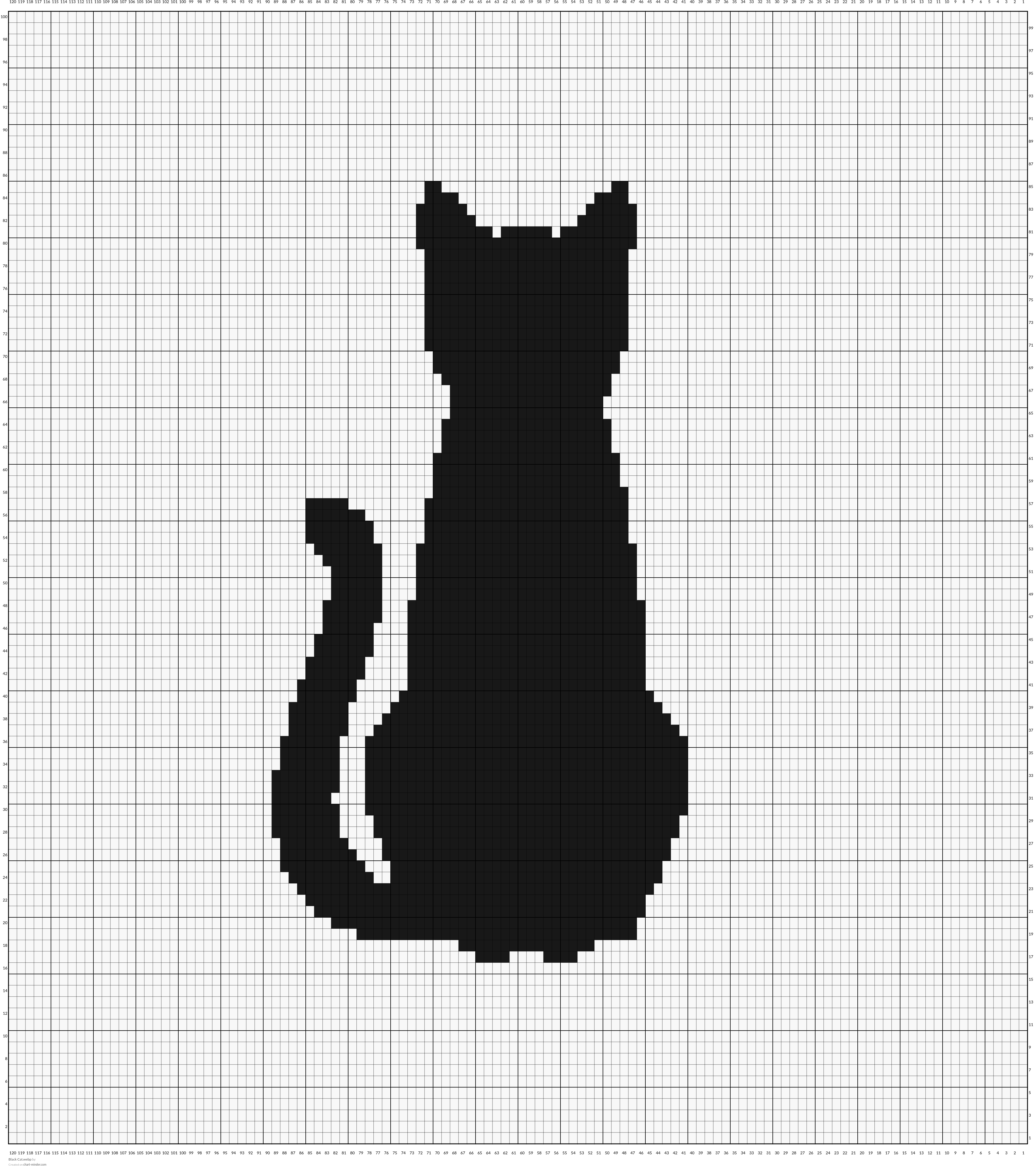 Black Cat.webp
