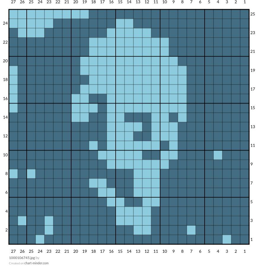 1000106745.jpg