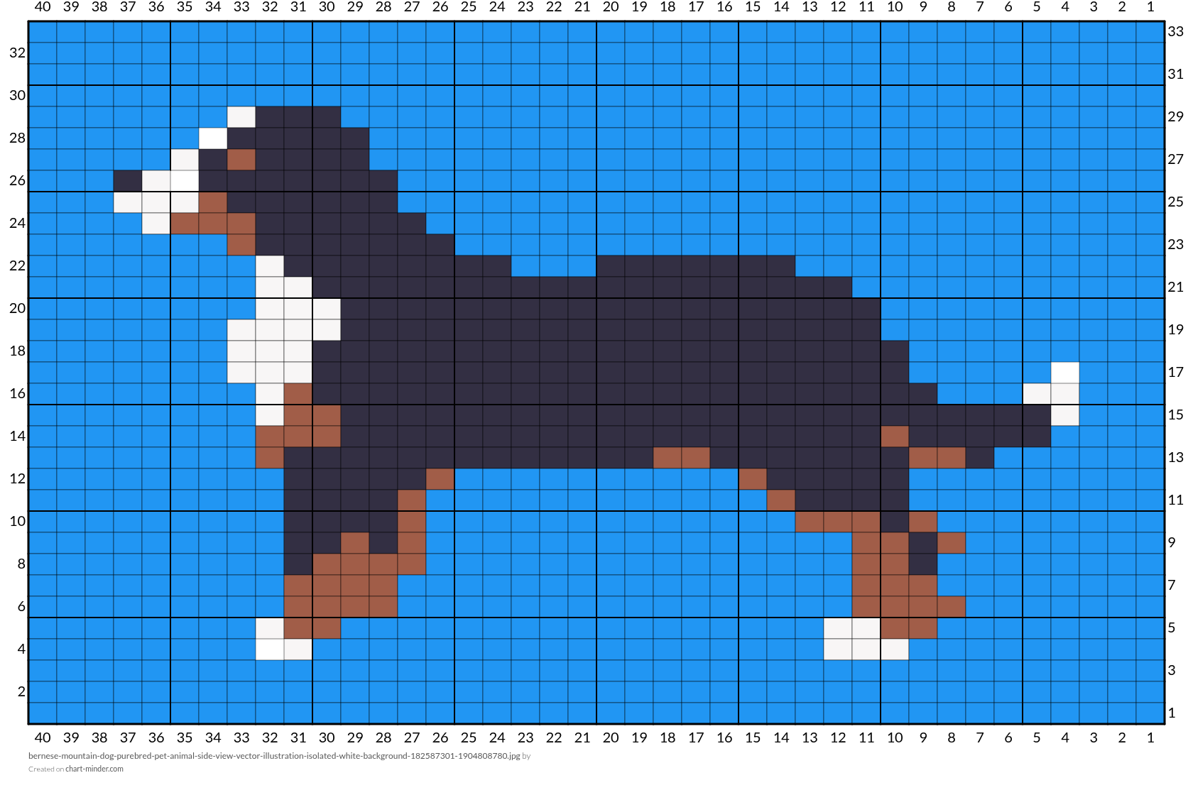 bernese-mountain-dog-purebred-pet-animal-side-view-vector-illustration-isolated-white-background-182587301-1904808780.jpg