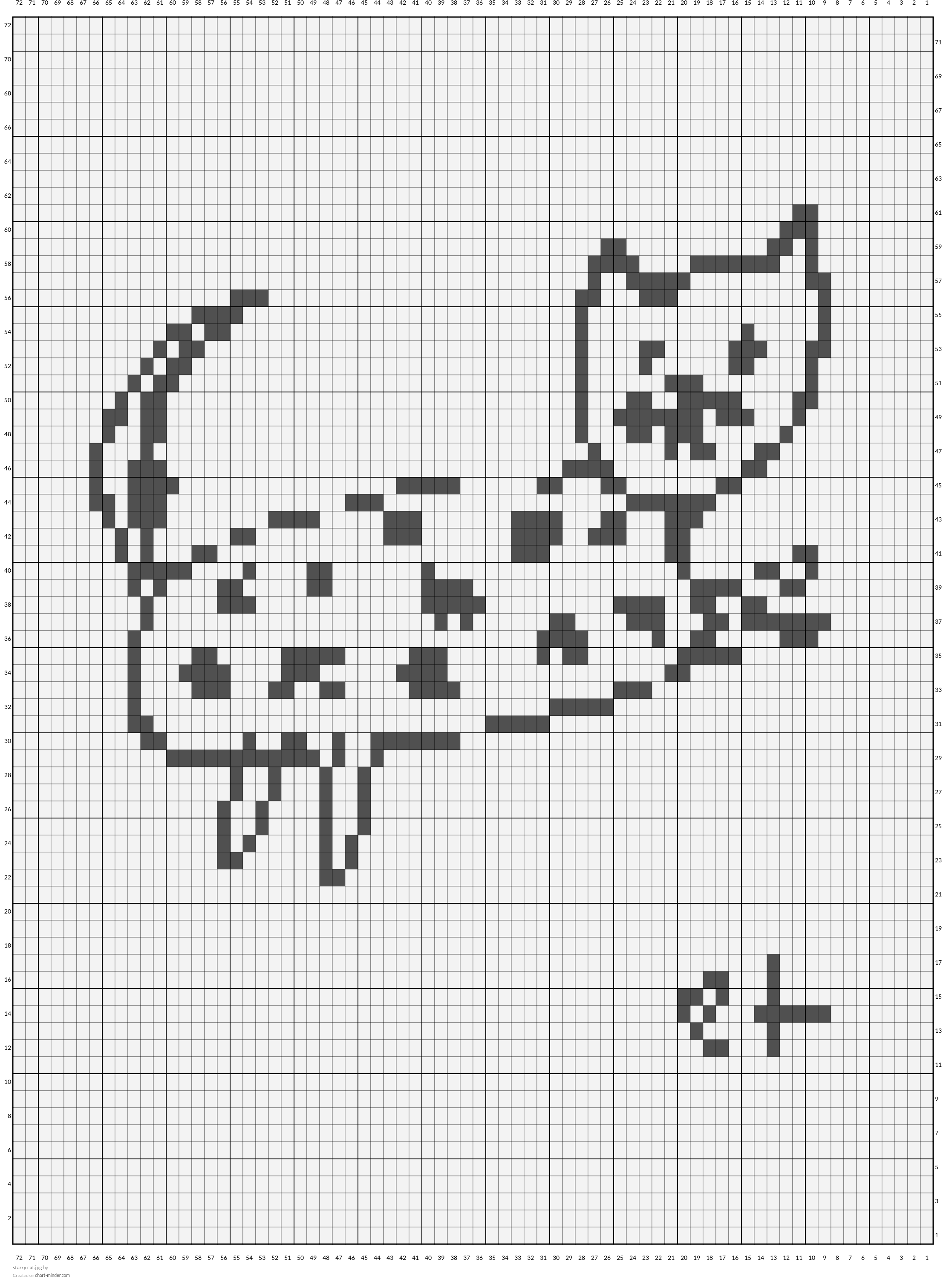 starry cat.jpg