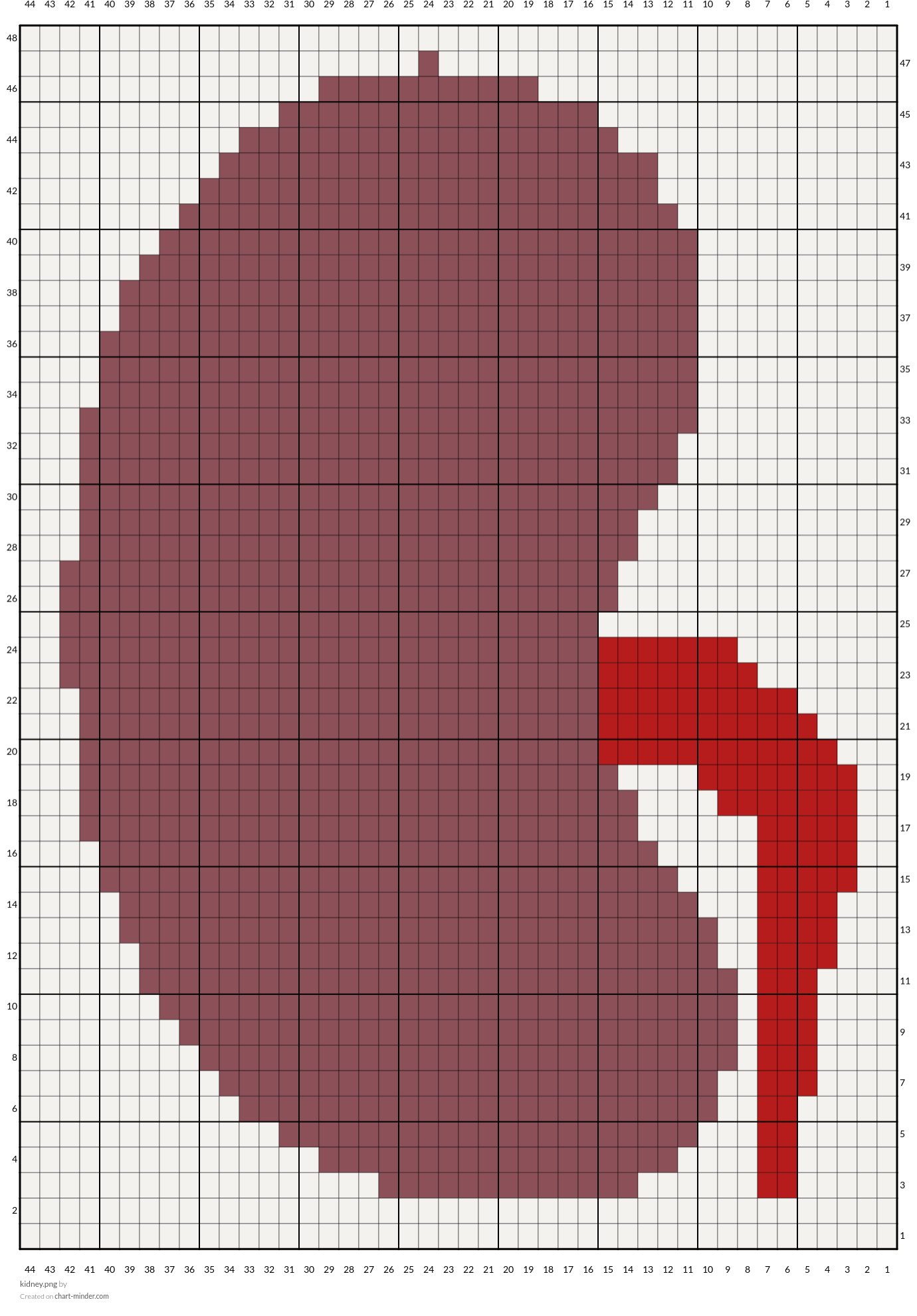 kidney.png