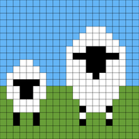 Sheep on field