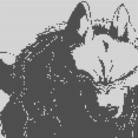 IMG_1389.jpeg