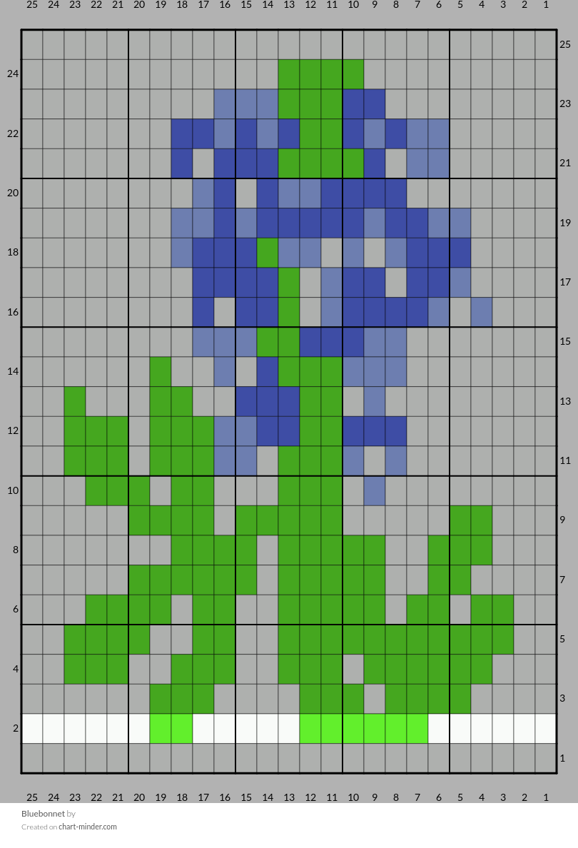 Bluebonnet